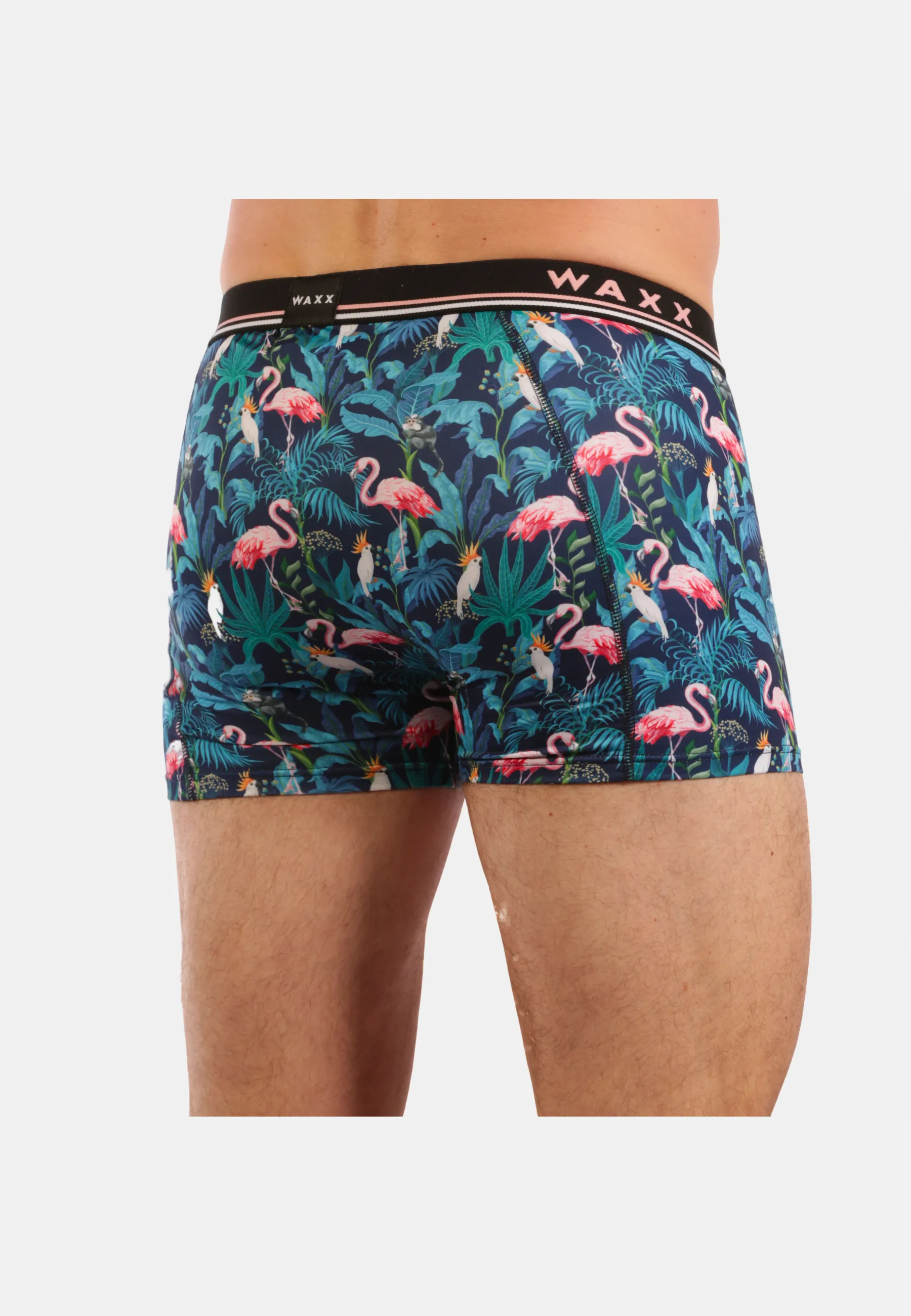 Boxer Flamingo