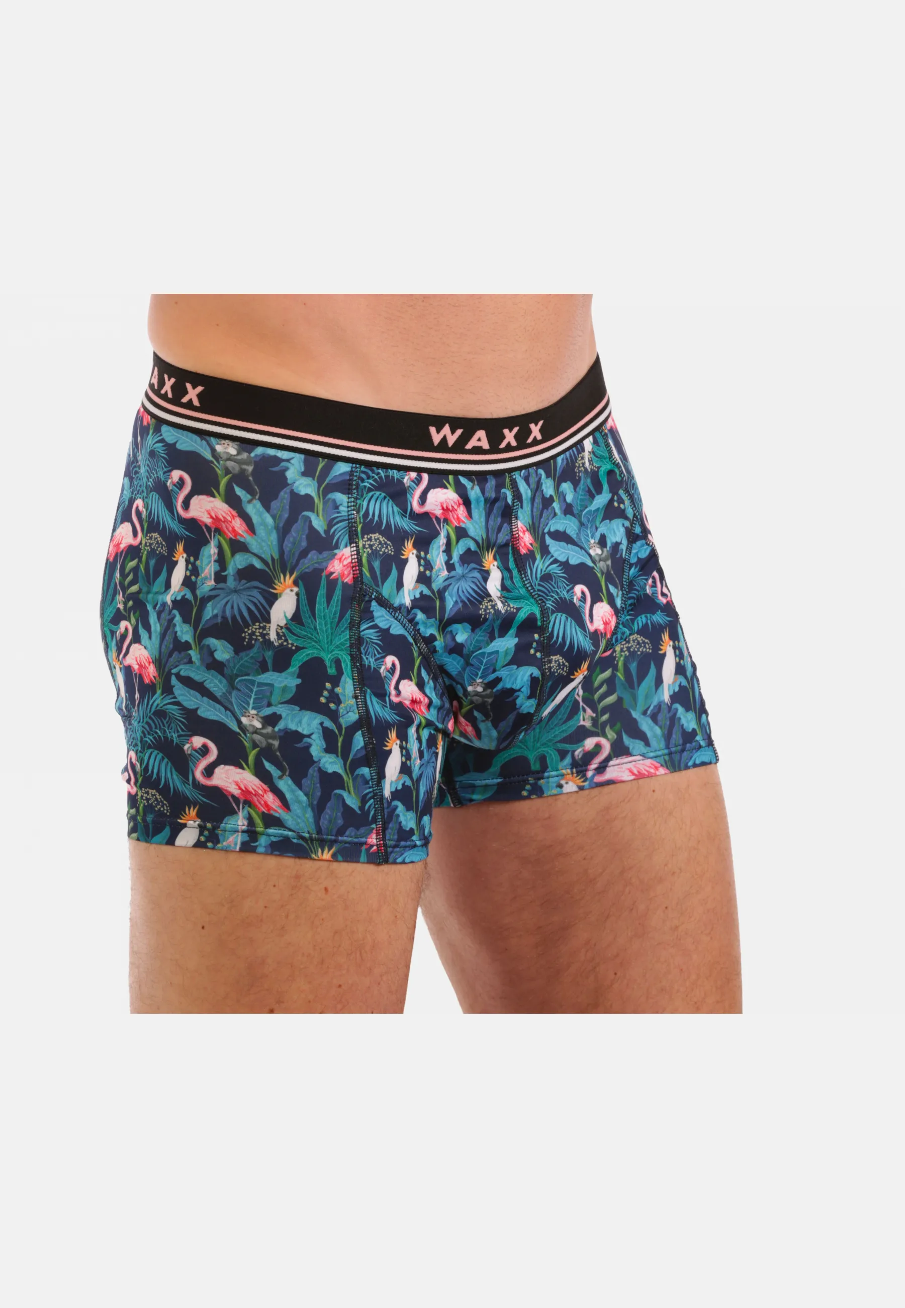 Boxer Flamingo