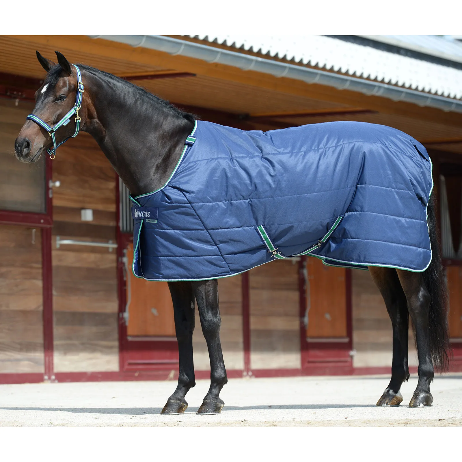 Bucas Couverture Quilt 150 g SD