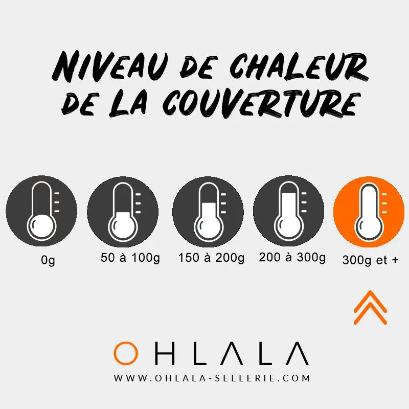 Canter - Couverture de box marine 400g