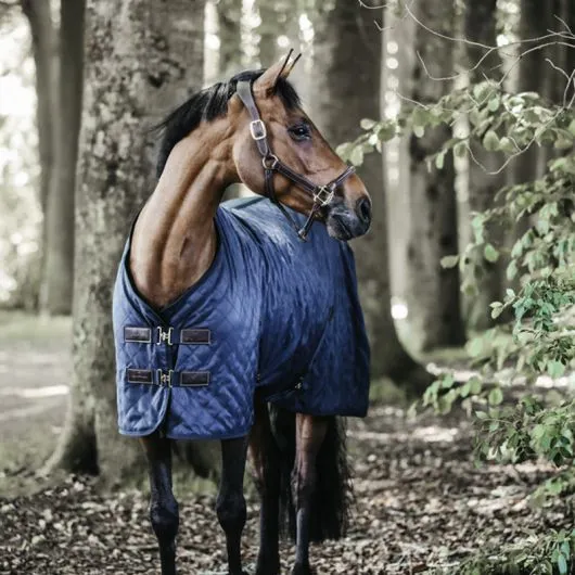 Couverture écurie cheval 0gr - Kentucky Horsewear - KENTUCKY HORSEWEAR - Couvertures d'écurie - Equestra
