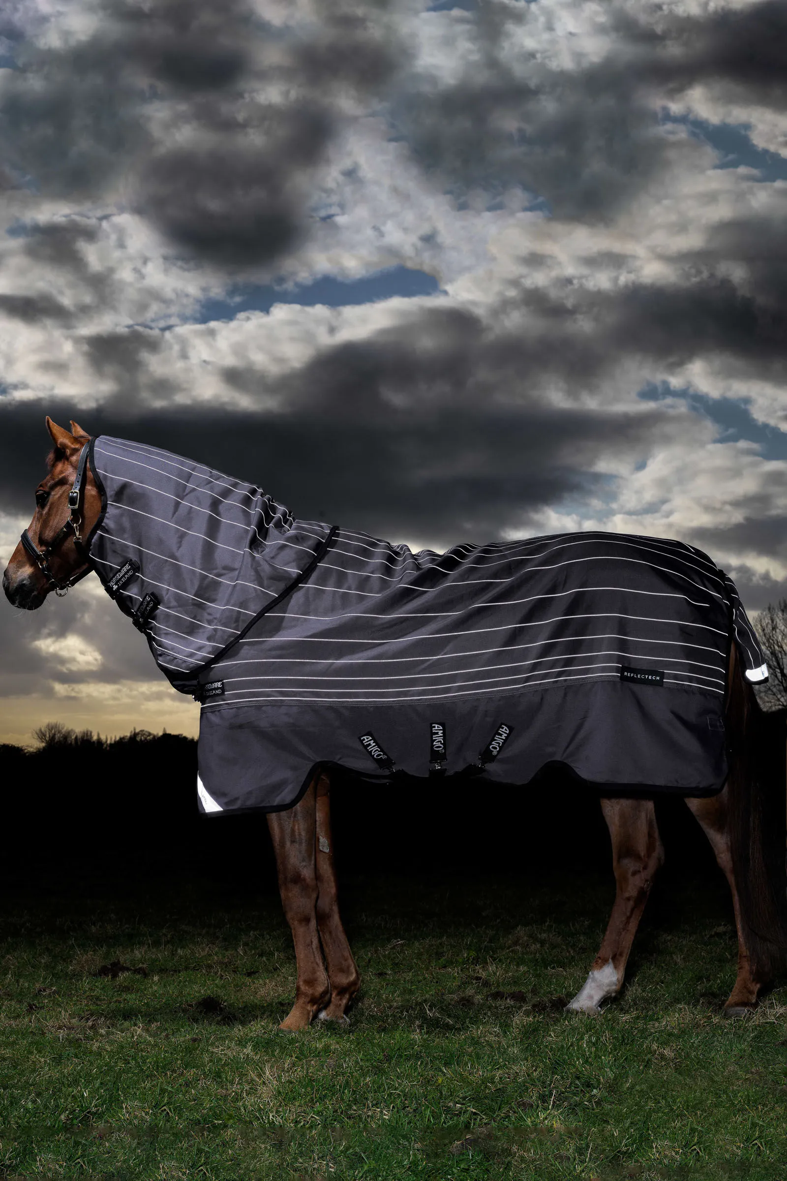 Horseware Couverture d'extérieur Amigo Bravo 12 Reflectech Plus avec couvre-encolure amovible, 100 g