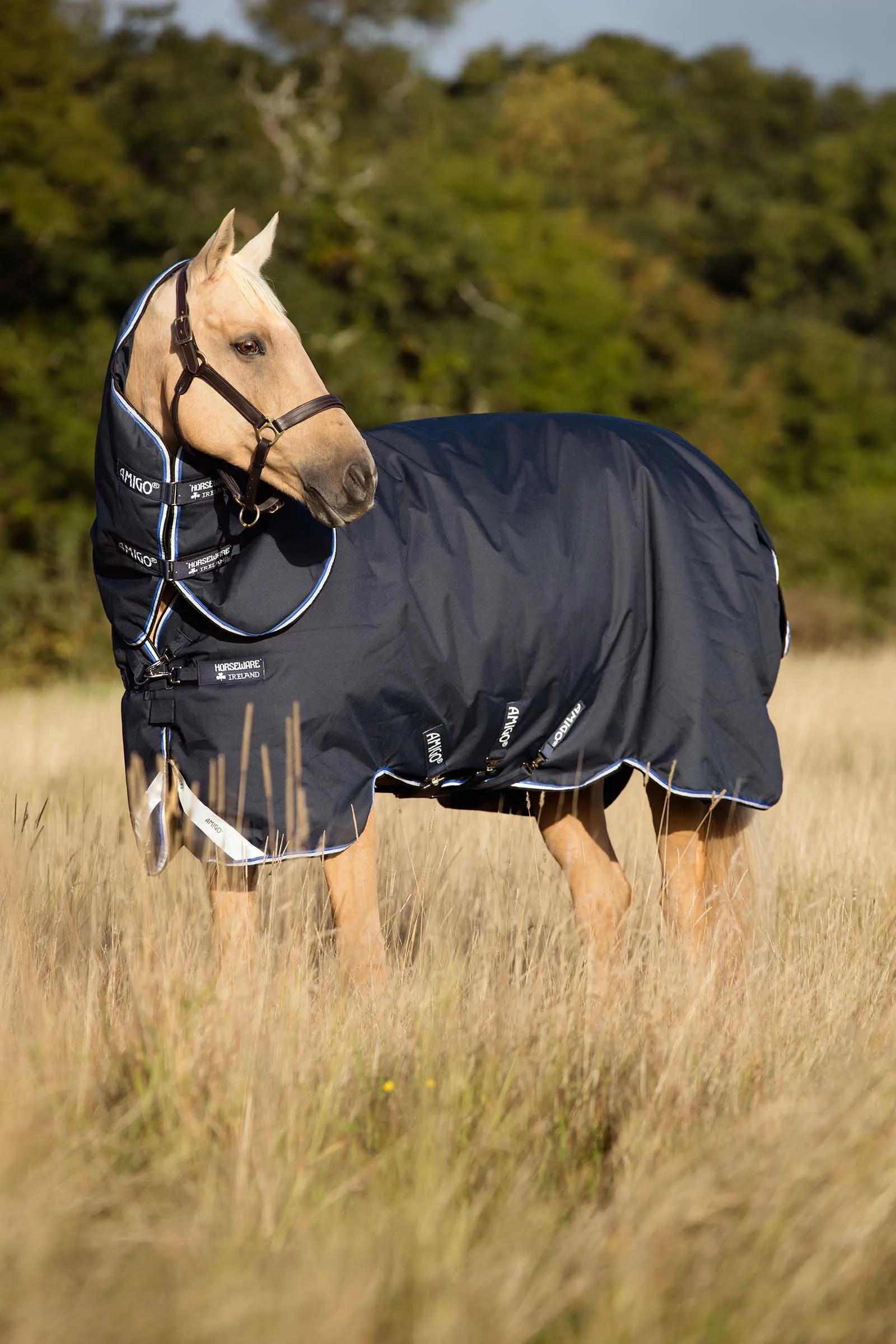 Horseware Couverture d'extérieur légère Amigo Bravo 12 Plus, 0g