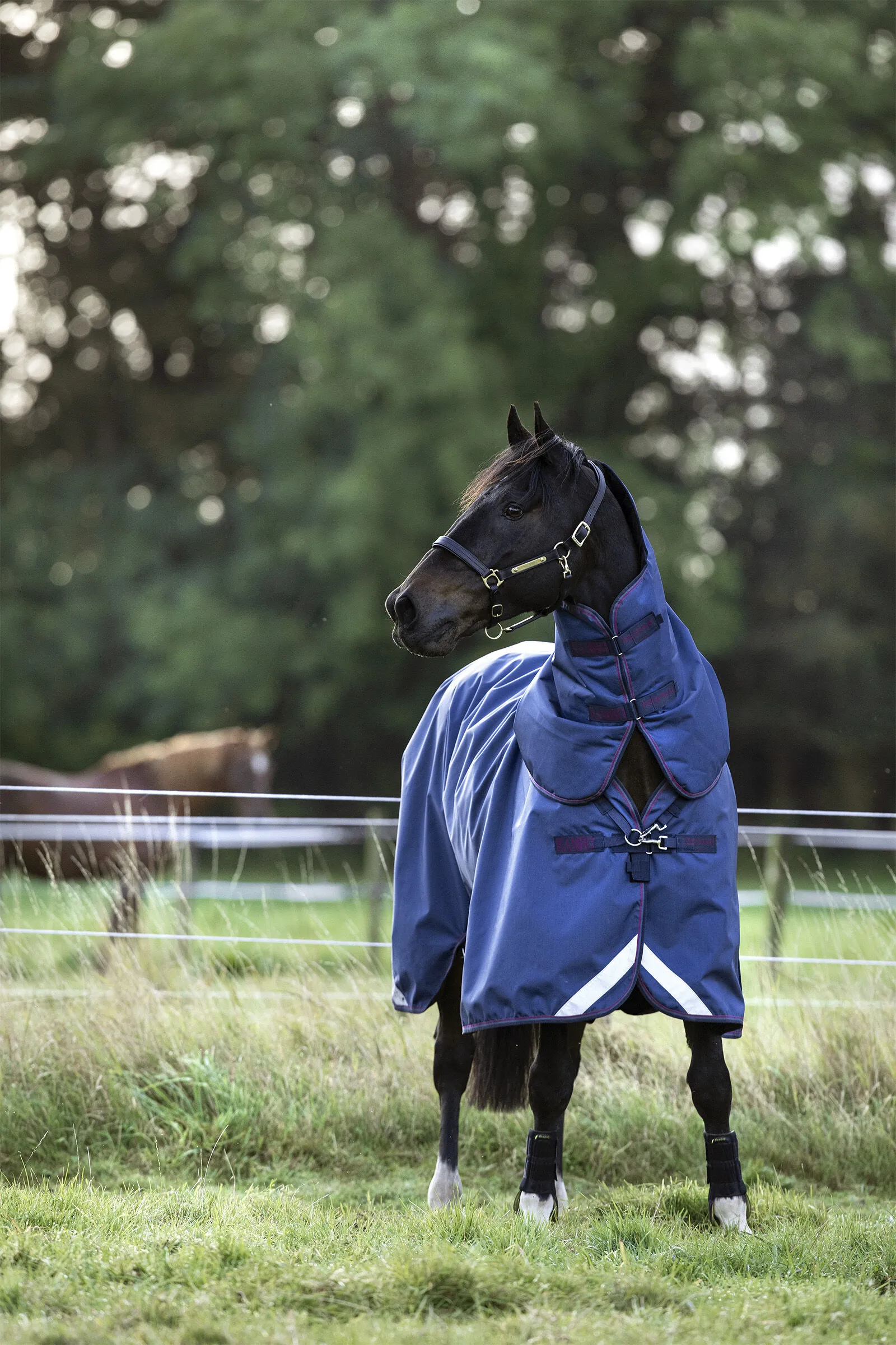 Horseware Rambo Optimo Plus Couverture de Pâturage, 0g