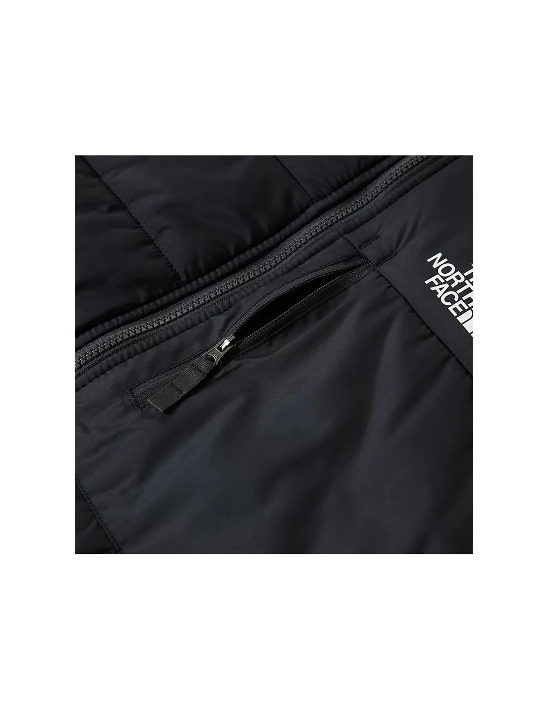 Veste The North Face Print RV Perrito Boy Grey